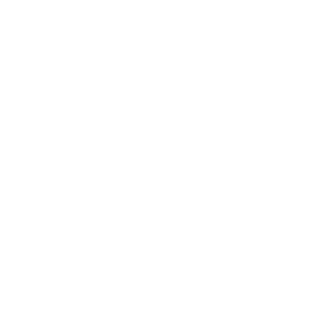 Paoli Group Logo